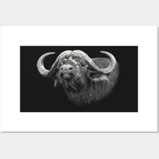 Buffalo Bull Close-Up African Wildlife Posters and Art